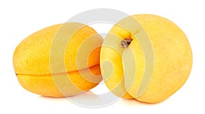 Two fresh and ripe apricots isolated on white background