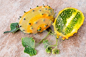 Two fresh ripe kiwano with vine and leaves, Cucumis metuliferus, on ceramic background