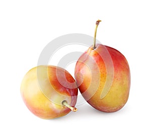 Two fresh ripe plums isolated on white