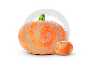 Two fresh ripe pumpkins isolated