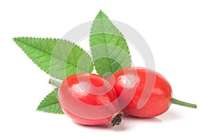 Two fresh rose hip berry with leaf isolated on white background