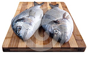 Two fresh sea bream