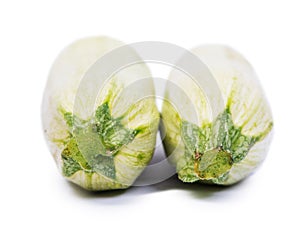 Two fresh vegetable marrows