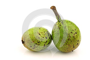 Two fresh walnuts (Juglans regia)