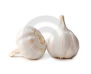Two fresh white garlic bulbs isolated on white background with clipping path, Thai herb is great for healing several severe photo