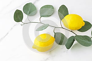 Two fresh whole lemon fruits and fresh eucalyptus branches on white marble background