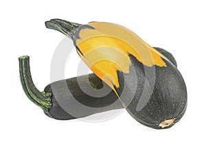 Two fresh whole zucchini isolated on white background. Young zucchini