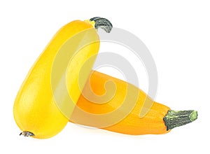 Two fresh yellow zucchini isolated on white background. Yellow courgettes. Yellow squash