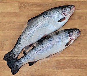 Two freshly caught trout on a wooden background. Fish for dinner. Preparation of freshly caught fish