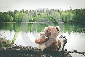 Two friends, bunny and teddy bear are sitting on shore of forest lake, dreaming and remembering. Back view photo