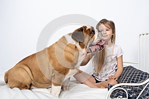 A young girl is sitting on the bed with her dog and is gently stroking him. Child and dog. The English Bulldog is a