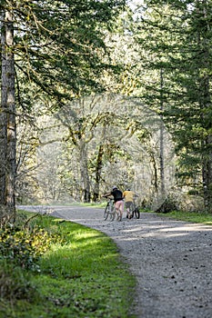 Two friends push their mountain bikes up a wide forest path