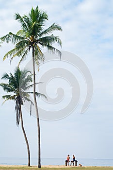 Two friends rest under the palm trees