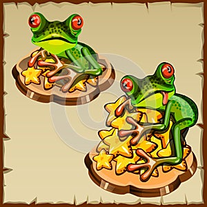 Two frog on a pile of golden stars, FengShui