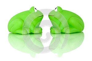 Two frogs reflecting