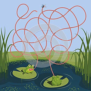 Two frogs tried to catch a mosquito. Guess which of them managed to catch the insect. Children`s game with a maze