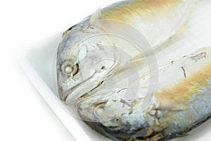 Two frozen steamed mackerel on foam container