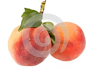 Two fruits of peach isolated on white background, green leaves.