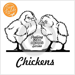 Two full-length chickens - Cheerful chicken peeking out - isolated on white - vector stock