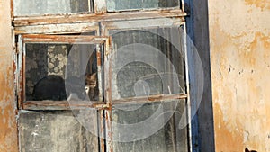 Two funny cats sit in an old vintage window and look outside