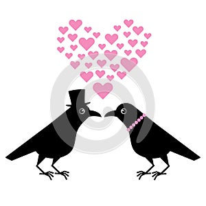 Two funny crows, a gentleman seduces a lady, cartoon Valentine. Cute raven illustration