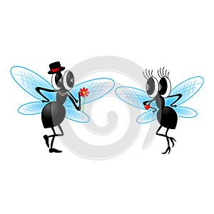 Two funny fly. Vector illustration