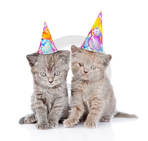 Two funny kittens with birthday hats. isolated on white background