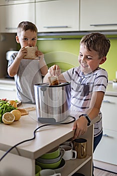 Two funny little brothers cooking and eating together fresh frying bread use toaster at kitchen