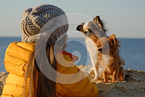 Two funny little chihuahua dogs sitting on sand looking at their owner sport girl in woolen hat and yellow jacket during autumn