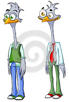 Two funny ostrich