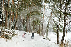 Two funny young girls having fun with a sleigh in beautiful winter park. Cute children playing in a snow