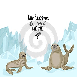 Two fur seals on the background of the glacier. Lettering Welcome to our home. Vector print design