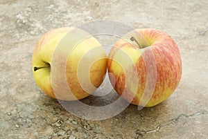 Two Gala Apples