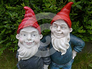 Two garden dwarfs with red hats