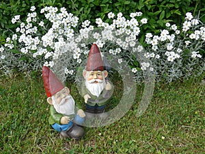 Two funny garden gnomes with red hats