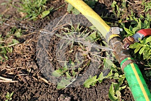 Two garden hoses joined with an old rusted shut off valve