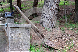 Two gardener`s earth shovels with tree setting