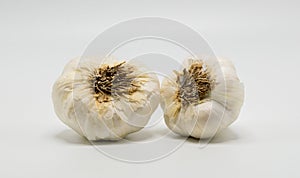 Two garlic bulbs isolated on white