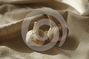 Two garlic bulbs on a vintage linen tablecloth