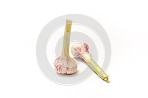 Two garlic with a stem on a white isolated background