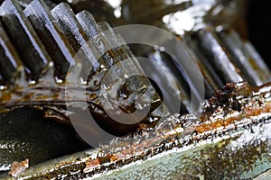 Two gears with grease coating