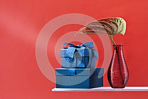 Two gift boxes with a blue bow on coral background