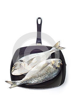 Two gilt-head sea bream fishes on a pan isolated