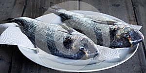 Two gilthead on a white plate