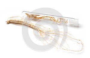 Two ginseng roots close-up one on white background second in glass tube