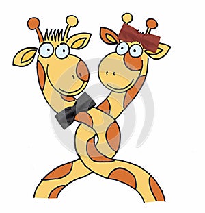 Two giraffes photo