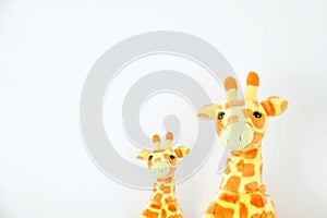 Two giraffes cute are seating on white background, Mom and baby giraffes