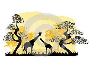Two giraffes silhouette, with jungle landscape