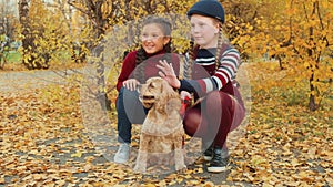 Two girl teenagers sitting with cocker spaniel dog in autumn park. Smiling girls stroking dog and posing for camera in