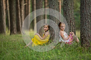 Two girlfriends posing sitting in the pine forest.